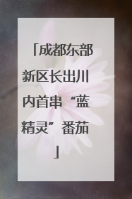 成都东部新区长出川内首串“蓝精灵”番茄
