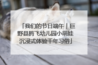 我们的节日端午｜巨野县腾飞幼儿园小萌娃沉浸式体验千年习俗