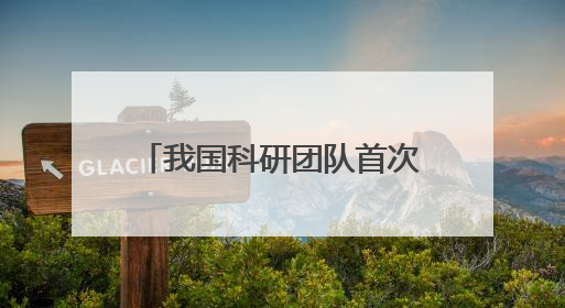 我国科研团队首次证实，人工智能可自发形成人类级认知