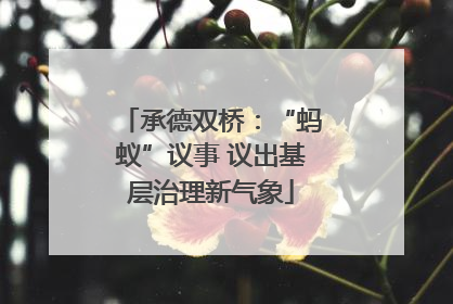 承德双桥：“蚂蚁”议事 议出基层治理新气象