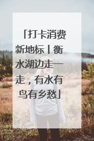 打卡消费新地标丨衡水湖边走一走，有水有鸟有乡愁