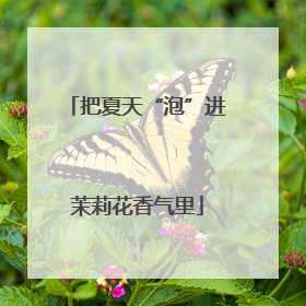 把夏天“泡”进茉莉花香气里