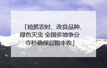 抢抓农时、改良品种、绿色灭虫 全国多地争分夺秒确保夏粮丰收