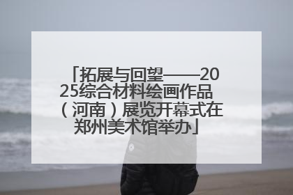 拓展与回望——2025综合材料绘画作品（河南）展览开幕式在郑州美术馆举办