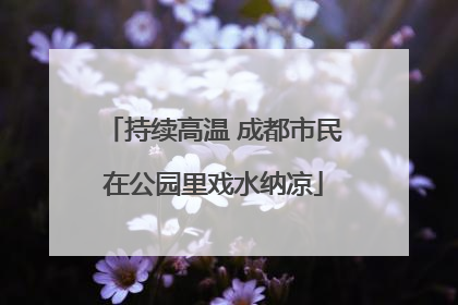 持续高温 成都市民在公园里戏水纳凉