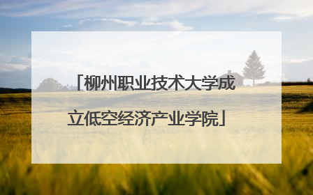 柳州职业技术大学成立低空经济产业学院