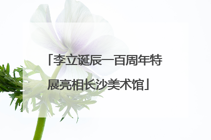 李立诞辰一百周年特展亮相长沙美术馆