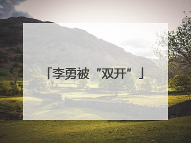 李勇被“双开”