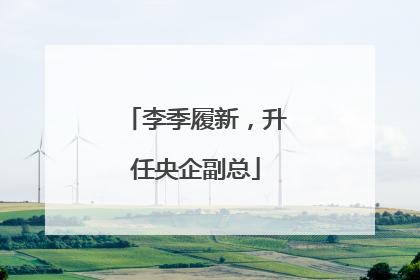 李季履新，升任央企副总