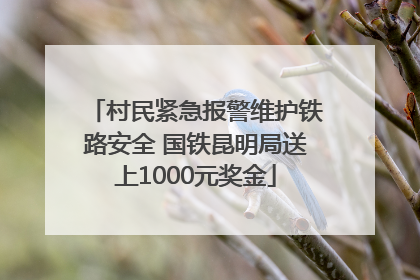 村民紧急报警维护铁路安全 国铁昆明局送上1000元奖金