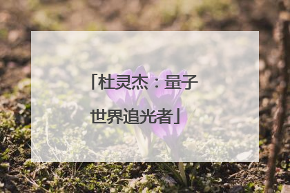 杜灵杰：量子世界追光者