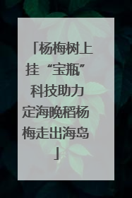 杨梅树上挂“宝瓶” 科技助力定海晚稻杨梅走出海岛