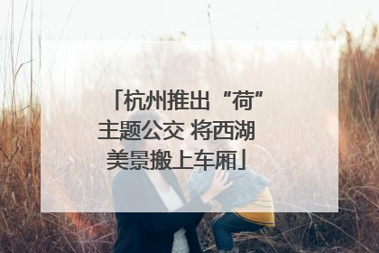杭州推出“荷”主题公交 将西湖美景搬上车厢