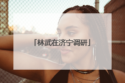 林武在济宁调研