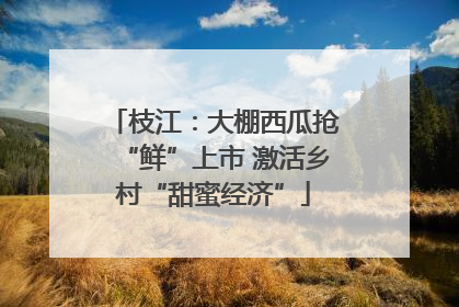 枝江：大棚西瓜抢“鲜”上市 激活乡村“甜蜜经济”