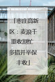 枣庄高新区：麦浪千重收割忙 多措并举保丰收