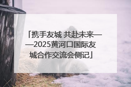 携手友城 共赴未来——2025黄河口国际友城合作交流会侧记