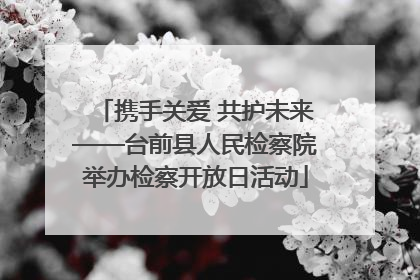 携手关爱 共护未来——台前县人民检察院举办检察开放日活动