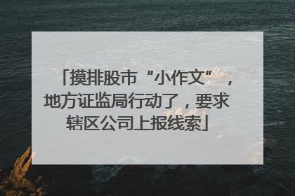 摸排股市“小作文”，地方证监局行动了，要求辖区公司上报线索