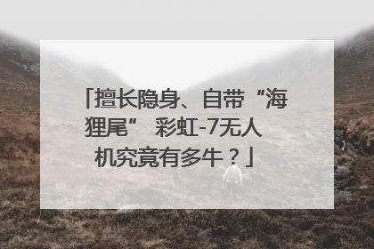 擅长隐身、自带“海狸尾” 彩虹-7无人机究竟有多牛？
