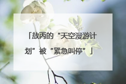 敖丙的“天空漫游计划”被“紧急叫停”