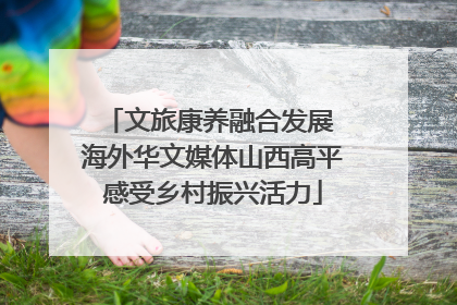 文旅康养融合发展 海外华文媒体山西高平感受乡村振兴活力