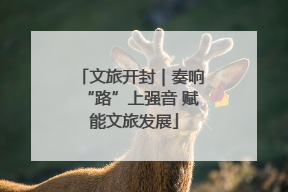 文旅开封｜奏响“路”上强音 赋能文旅发展