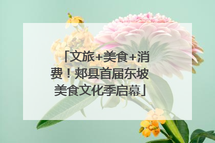 文旅+美食+消费！郏县首届东坡美食文化季启幕