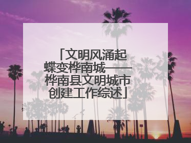 文明风涌起 蝶变桦南城——桦南县文明城市创建工作综述