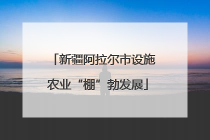 新疆阿拉尔市设施农业“棚”勃发展