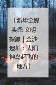 新华全媒头条·文明探源｜金沙遗址：太阳神鸟起飞的地方