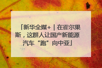 新华全媒+｜在霍尔果斯，这群人让国产新能源汽车“跑”向中亚
