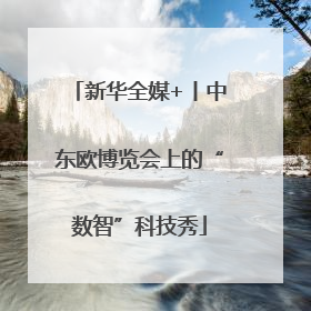 新华全媒+丨中东欧博览会上的“数智”科技秀
