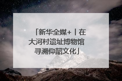 新华全媒+丨在大河村遗址博物馆寻溯仰韶文化