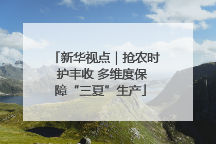 新华视点｜抢农时 护丰收 多维度保障“三夏”生产