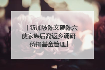 新加坡陈文确陈六使家族后裔返乡调研侨捐基金管理