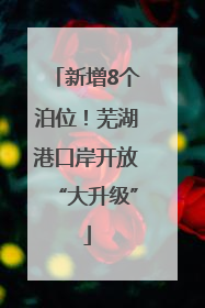 新增8个泊位！芜湖港口岸开放“大升级”