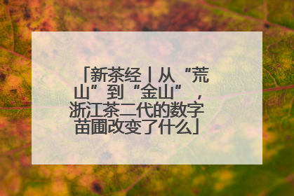 新茶经丨从“荒山”到“金山”，浙江茶二代的数字苗圃改变了什么