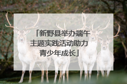 新野县举办端午主题实践活动助力青少年成长