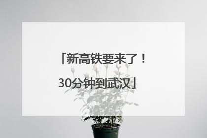 新高铁要来了！30分钟到武汉