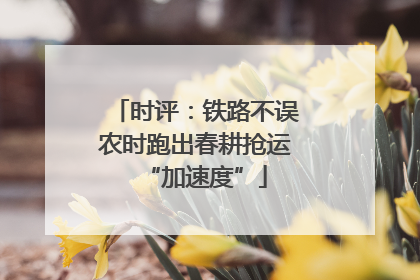 时评：铁路不误农时跑出春耕抢运“加速度”