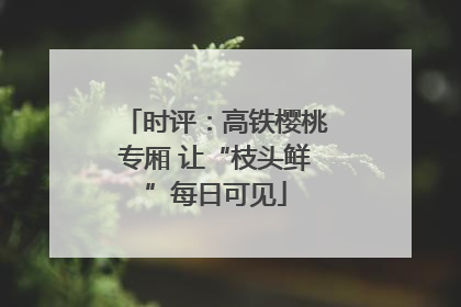时评：高铁樱桃专厢 让“枝头鲜”每日可见