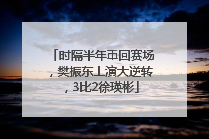 时隔半年重回赛场，樊振东上演大逆转，3比2徐瑛彬