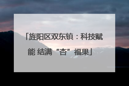 旌阳区双东镇：科技赋能 结满“杏”福果