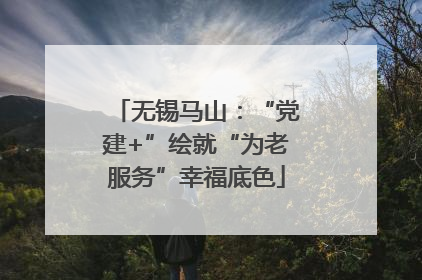 无锡马山：“党建+”绘就“为老服务”幸福底色