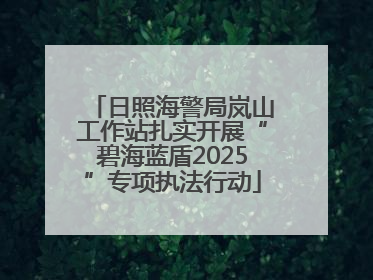 日照海警局岚山工作站扎实开展“碧海蓝盾2025”专项执法行动