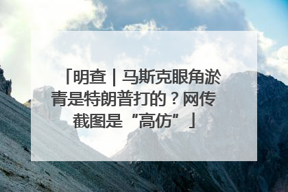 明查｜马斯克眼角淤青是特朗普打的？网传截图是“高仿”