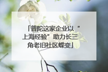 普陀这家企业以“上海经验”助力长三角老旧社区蝶变