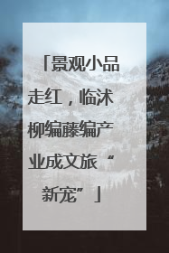 景观小品走红，临沭柳编藤编产业成文旅“新宠”