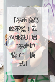 暴雨晚高峰不慌！武汉地铁开启 “暴走护犊子” 模式